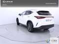 Lexus NX 350h Executive 4WD Blanco - thumbnail 2