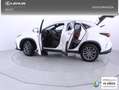 Lexus NX 350h Executive 4WD Blanco - thumbnail 28