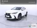 Lexus NX 350h Executive 4WD Blanco - thumbnail 1