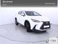 Lexus NX 350h Executive 4WD Blanco - thumbnail 27
