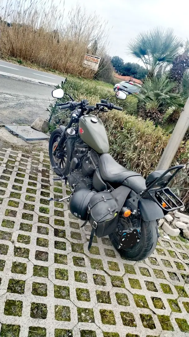 Harley-Davidson Iron 883 Зелений - 2