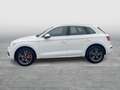 Audi Q5 3.0 TDI quattro design Wit - thumbnail 3