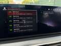 BMW 540 i M Sportpaket*H&K*AHK*R-KAM*LED* Gris - thumbnail 21