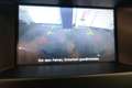 Nissan Navara Double Cab Platinum Evo 3,0 V6 dCi 4x4 AUTOMATIK Weiß - thumbnail 12
