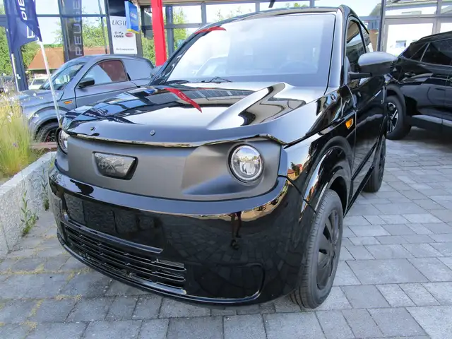 Ligier Myli LAB mit Türgitter und Fußmatten Gummi
