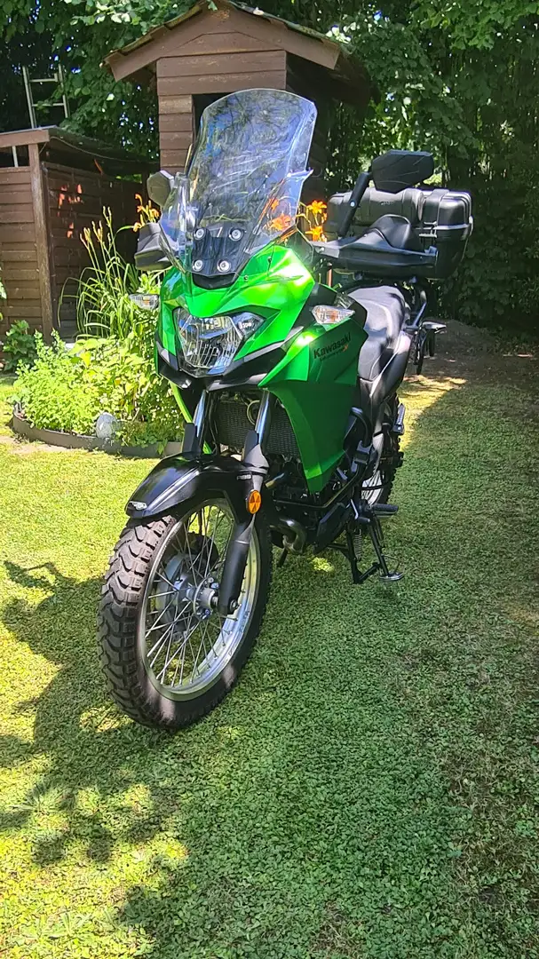 Kawasaki Versys-X 300 Vert - 2