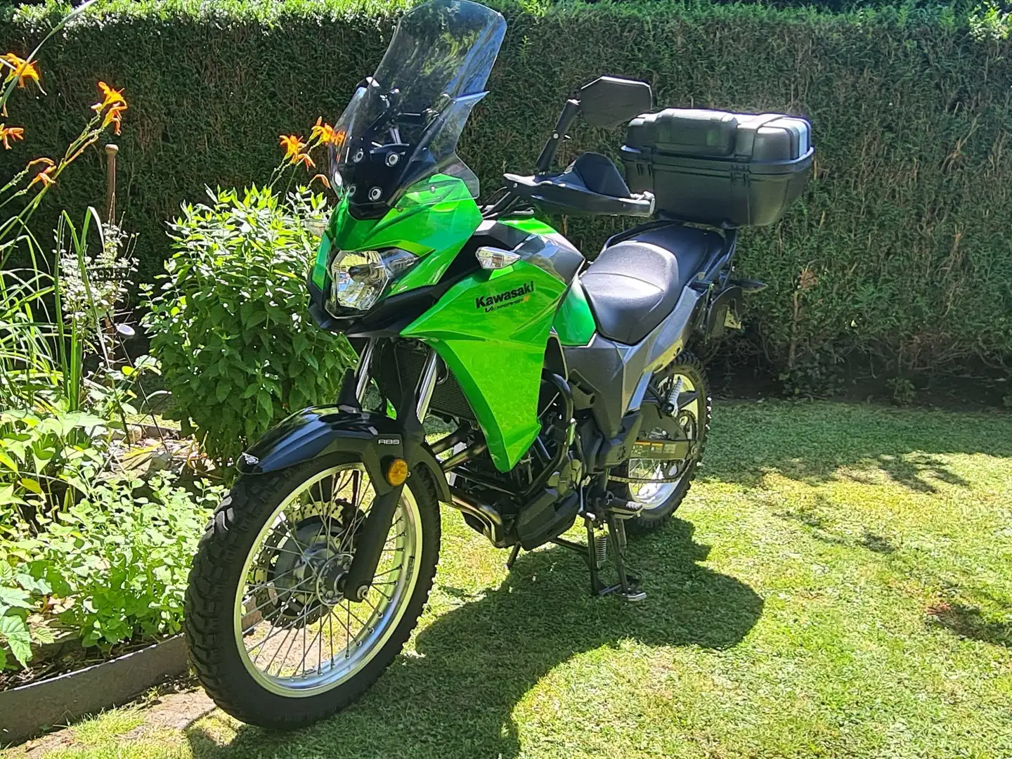 Kawasaki Versys-X 300 Vert - 1
