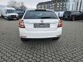 Skoda Rapid/Spaceback Rapid Spaceback Rapid Spaceback 1.4 TDI Clever Weiß - thumbnail 5