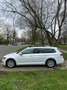 Volkswagen Passat Alltrack 2.0 CR TDi SCR 4Motion White - thumbnail 5