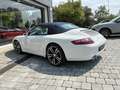 Porsche 997 Carrera Cabrio Blanco - thumbnail 7