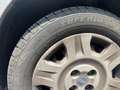 Fiat Punto 5p 1.2 Active - thumbnail 3