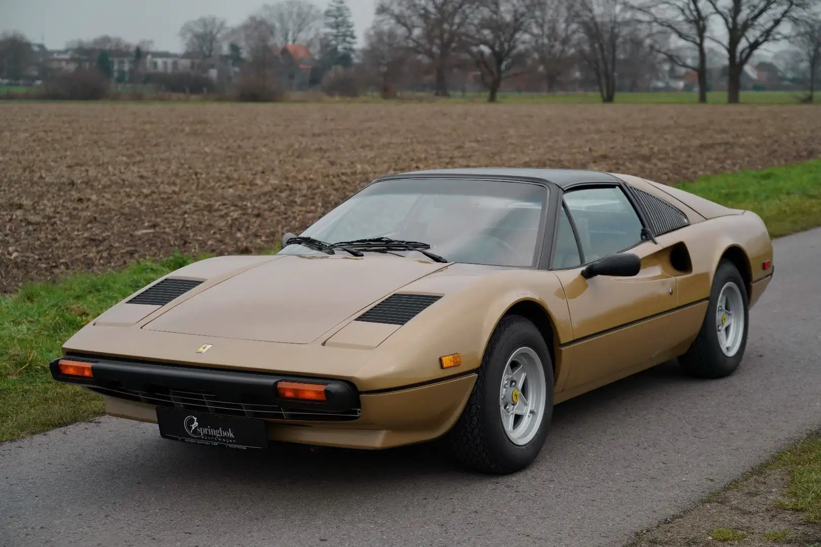 Ferrari 308 GTS Vergaserversion Auriu - 1