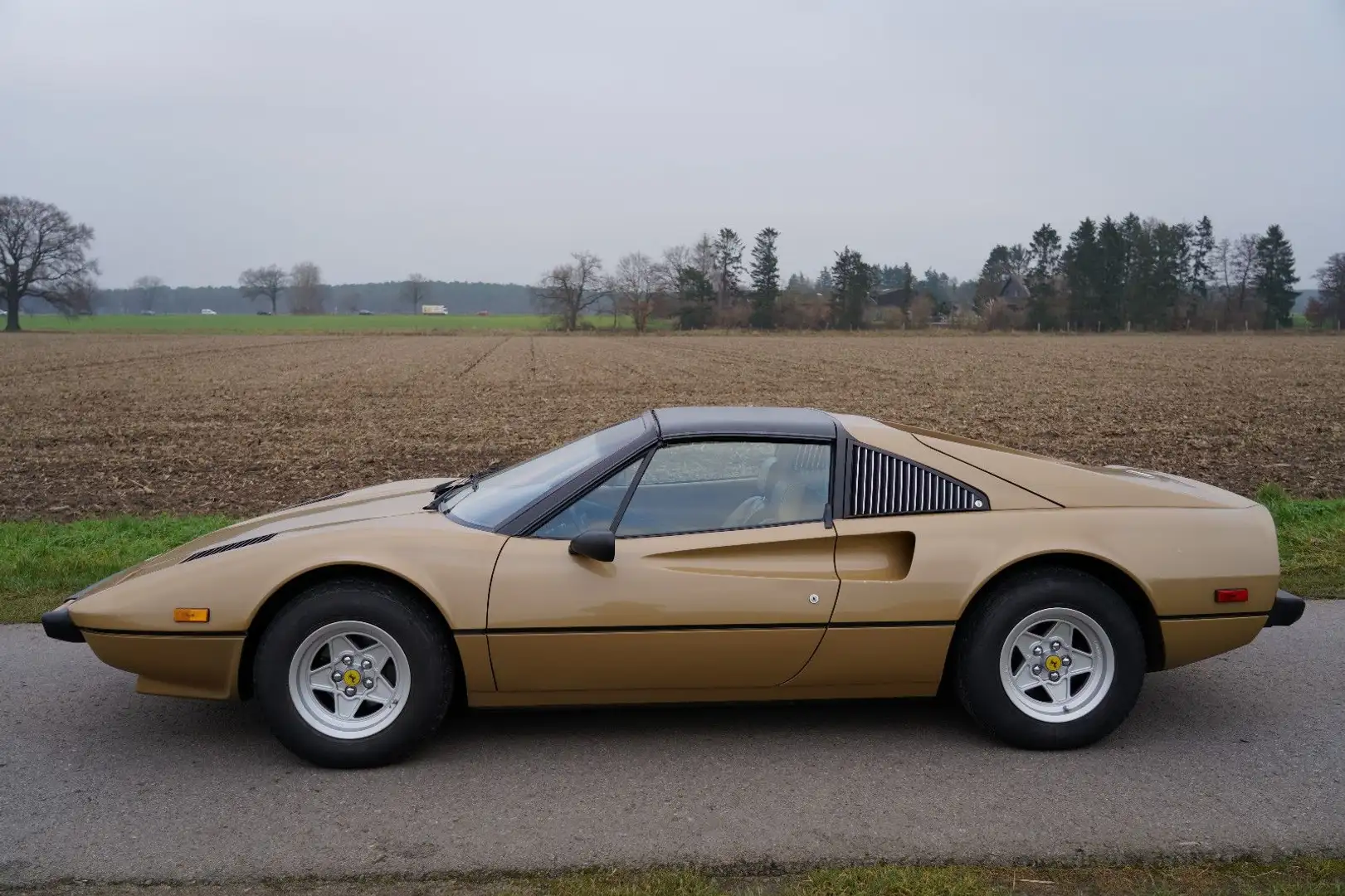 Ferrari 308 GTS Vergaserversion Auriu - 2