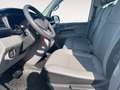 Volkswagen T6.1 Caravelle 2.0 TDI DSG 9. Sitzer LR Trendlin Weiß - thumbnail 10