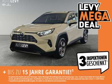 Hybrid 4x2 Business Edition *Carplay*PDC*