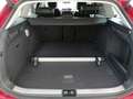 Skoda Superb Combi Selection 2.0TDI 360°.SITZBEL.AHK.MATRIX.MAS Rot - thumbnail 8