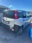 Fiat Panda Panda 1.2 Pop 69cv E6 VAN Bianco - thumbnail 7