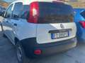 Fiat Panda Panda 1.2 Pop 69cv E6 VAN Bianco - thumbnail 6