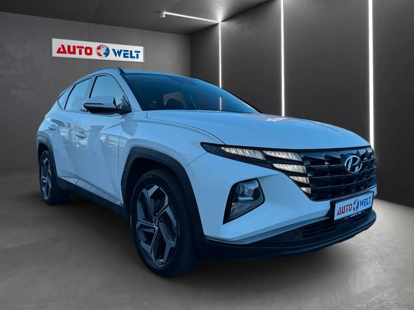 Hyundai TUCSON 1.6 Hybrid 4WD Autmatik Navi LED AWD DAB Blanc - 2