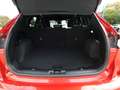 Ford Kuga KUGA PHEV ST-LINE X+Head-up+iLED+elSitz+elHeckkl Rot - thumbnail 16