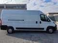 Fiat Ducato 35 LH2 2.3 MJ FURGONE P.LUNGO TETTO ALTO 3PTI-2020 Weiß - thumbnail 2