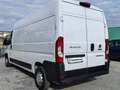 Fiat Ducato 35 LH2 2.3 MJ FURGONE P.LUNGO TETTO ALTO 3PTI-2020 Weiß - thumbnail 5