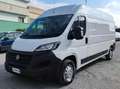 Fiat Ducato 35 LH2 2.3 MJ FURGONE P.LUNGO TETTO ALTO 3PTI-2020 Weiß - thumbnail 7