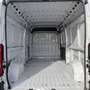 Fiat Ducato 35 LH2 2.3 MJ FURGONE P.LUNGO TETTO ALTO 3PTI-2020 Weiß - thumbnail 16