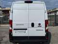 Fiat Ducato 35 LH2 2.3 MJ FURGONE P.LUNGO TETTO ALTO 3PTI-2020 Weiß - thumbnail 4