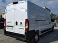 Fiat Ducato 35 LH2 2.3 MJ FURGONE P.LUNGO TETTO ALTO 3PTI-2020 Weiß - thumbnail 3