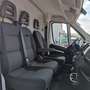 Fiat Ducato 35 LH2 2.3 MJ FURGONE P.LUNGO TETTO ALTO 3PTI-2020 Weiß - thumbnail 11