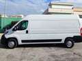 Fiat Ducato 35 LH2 2.3 MJ FURGONE P.LUNGO TETTO ALTO 3PTI-2020 Weiß - thumbnail 6