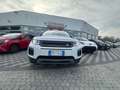 Land Rover Range Rover Evoque Range Rover Evoque 5p 2.0 td4 SE 180cv auto Blanc - thumbnail 1