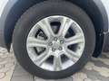 Land Rover Range Rover Evoque Range Rover Evoque 5p 2.0 td4 SE 180cv auto Blanc - thumbnail 3