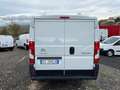 Citroen Jumper 2.2 140cv L1H1 Bianco - thumbnail 6