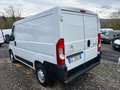 Citroen Jumper 2.2 140cv L1H1 Bianco - thumbnail 5
