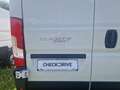 Fiat Ducato Ducato MAXI 35 L4H3 140 Weiß - thumbnail 7