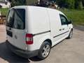 Volkswagen Caddy Caddy Kasten 1,6 TDI DPF, Pickerl neu! Weiß - thumbnail 2