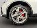 Audi Q5 50 TFSI e quattro Matrix Navi HuD Kamera AHK Weiß - thumbnail 22