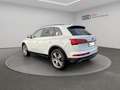 Audi Q5 50 TFSI e quattro Matrix Navi HuD Kamera AHK Weiß - thumbnail 6