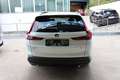 Honda CR-V 2,0 i-MMD e:HEV Advance AWD Aut. Weiß - thumbnail 8