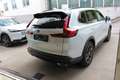 Honda CR-V 2,0 i-MMD e:HEV Advance AWD Aut. Weiß - thumbnail 7