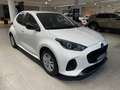 Mazda 2 1.5 ibrida 116cv. CENTRE LINE DA IMMATRICOLARE Bianco - thumbnail 3