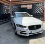 Jaguar XE 2.0 Diesel Pure AWD Aut. 180 Bianco - thumbnail 4