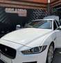 Jaguar XE 2.0 Diesel Pure AWD Aut. 180 Bianco - thumbnail 9