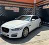 Jaguar XE 2.0 Diesel Pure AWD Aut. 180 Bianco - thumbnail 5