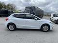 SEAT Ibiza 1.0 tgi Business 90cv Bianco - thumbnail 5