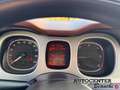 Fiat Panda Panda 1.3 mjt 16v Cross 4x4 s&s 95cv Verde - thumbnail 11