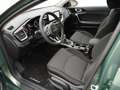 Kia Ceed / cee'd Spirit 1.5 TEC PDC´ RFK´ NAVI´ KLIMA´ SHZ´ Kl Grün - thumbnail 9