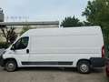 Fiat Ducato - thumbnail 1